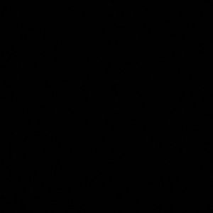 Meet your Posher, Demarcus